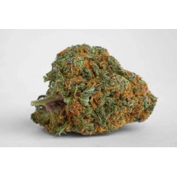 Cartouche Wax CBD OG Kush Golden Buds - Cent Philtres